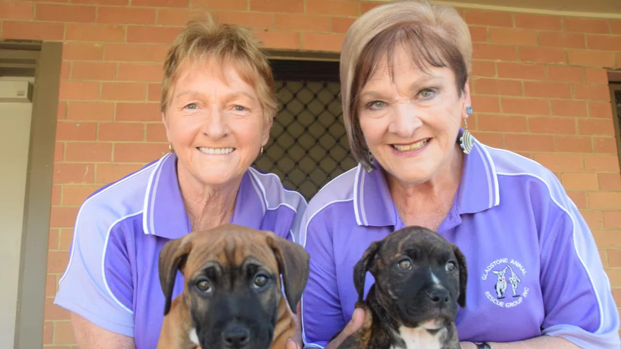 Gladstone Animal Rescue